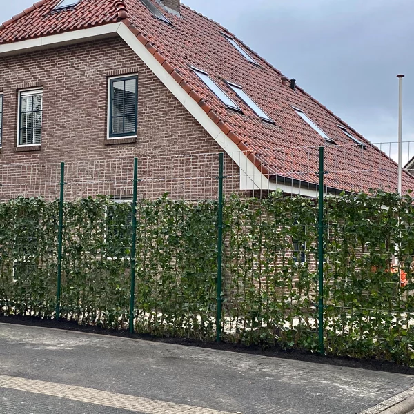 Metalen paal 3,2m - Afbeelding 3